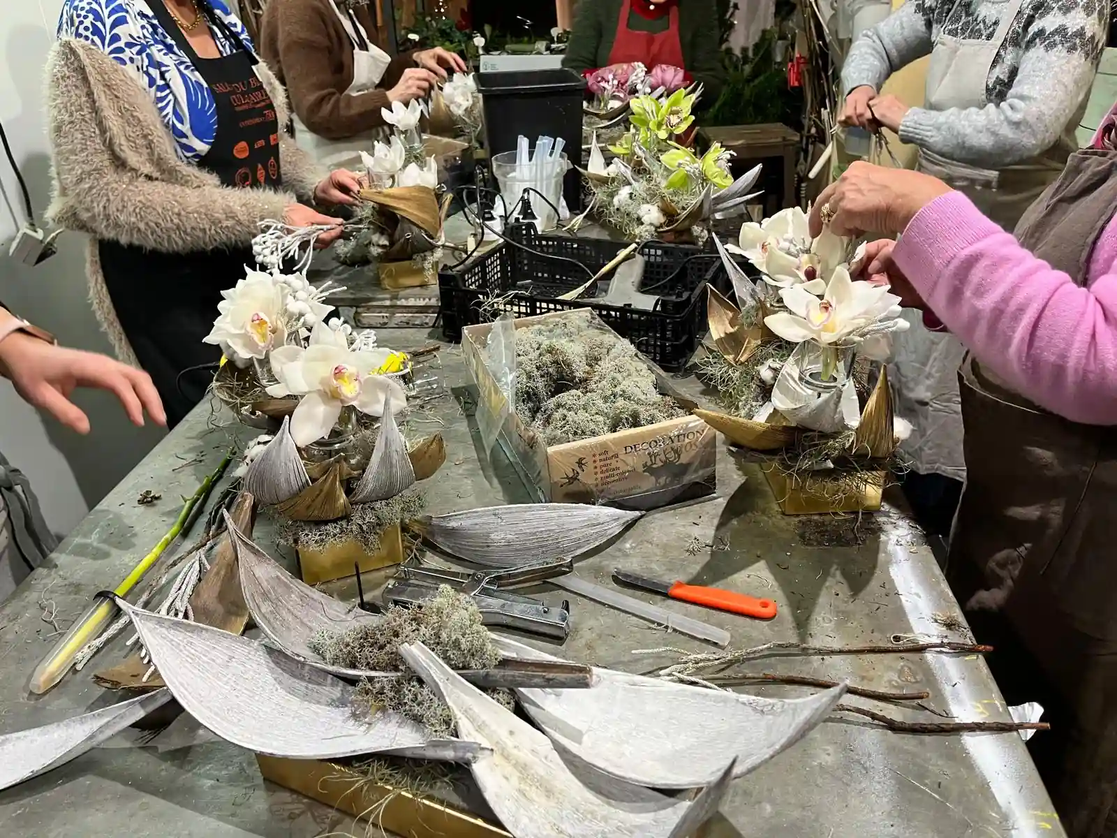 Atelier orchidées en barquettes