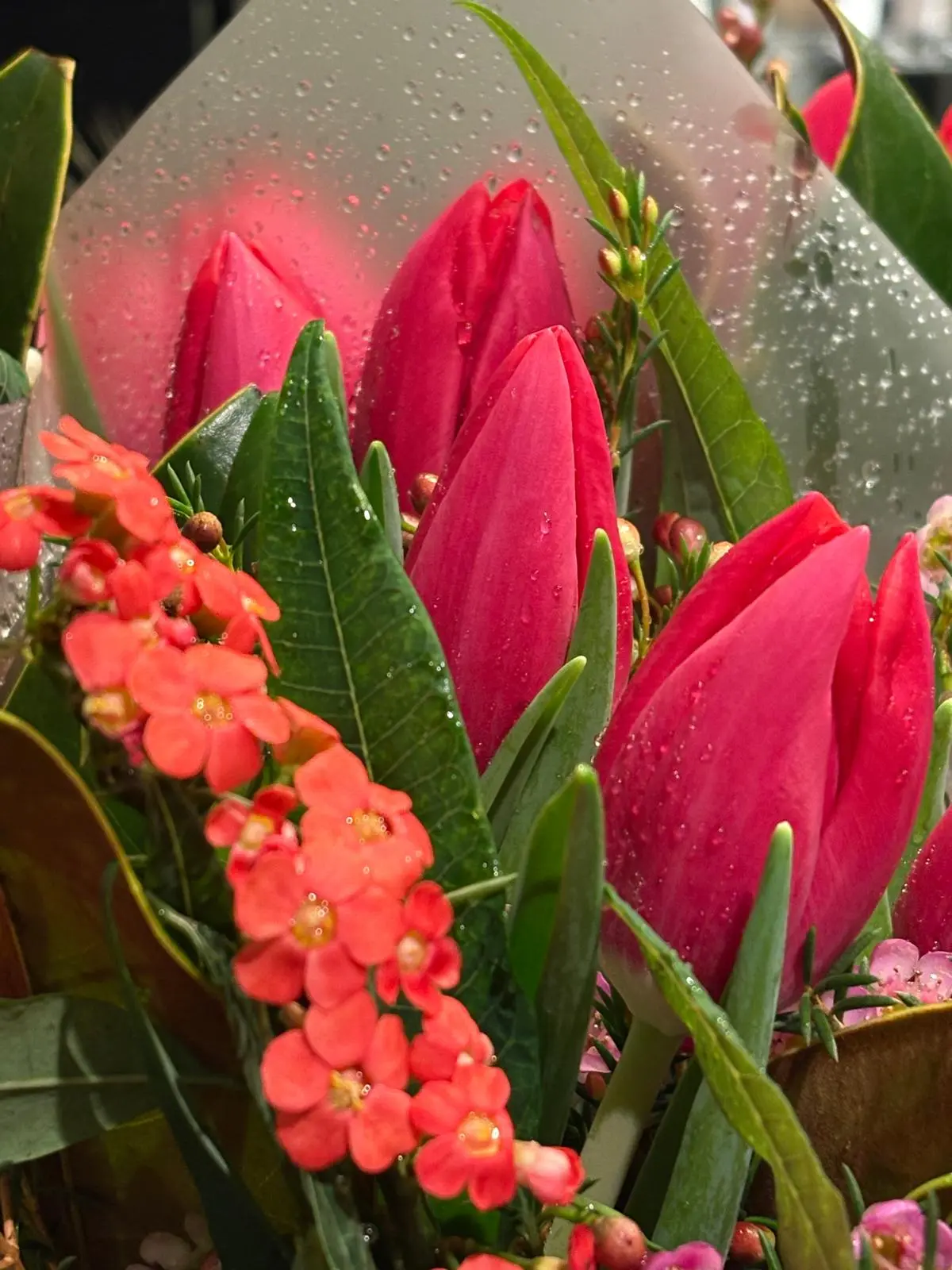 Bouquet de tulipes - fleuriste Pinon Olivier Brouillard
