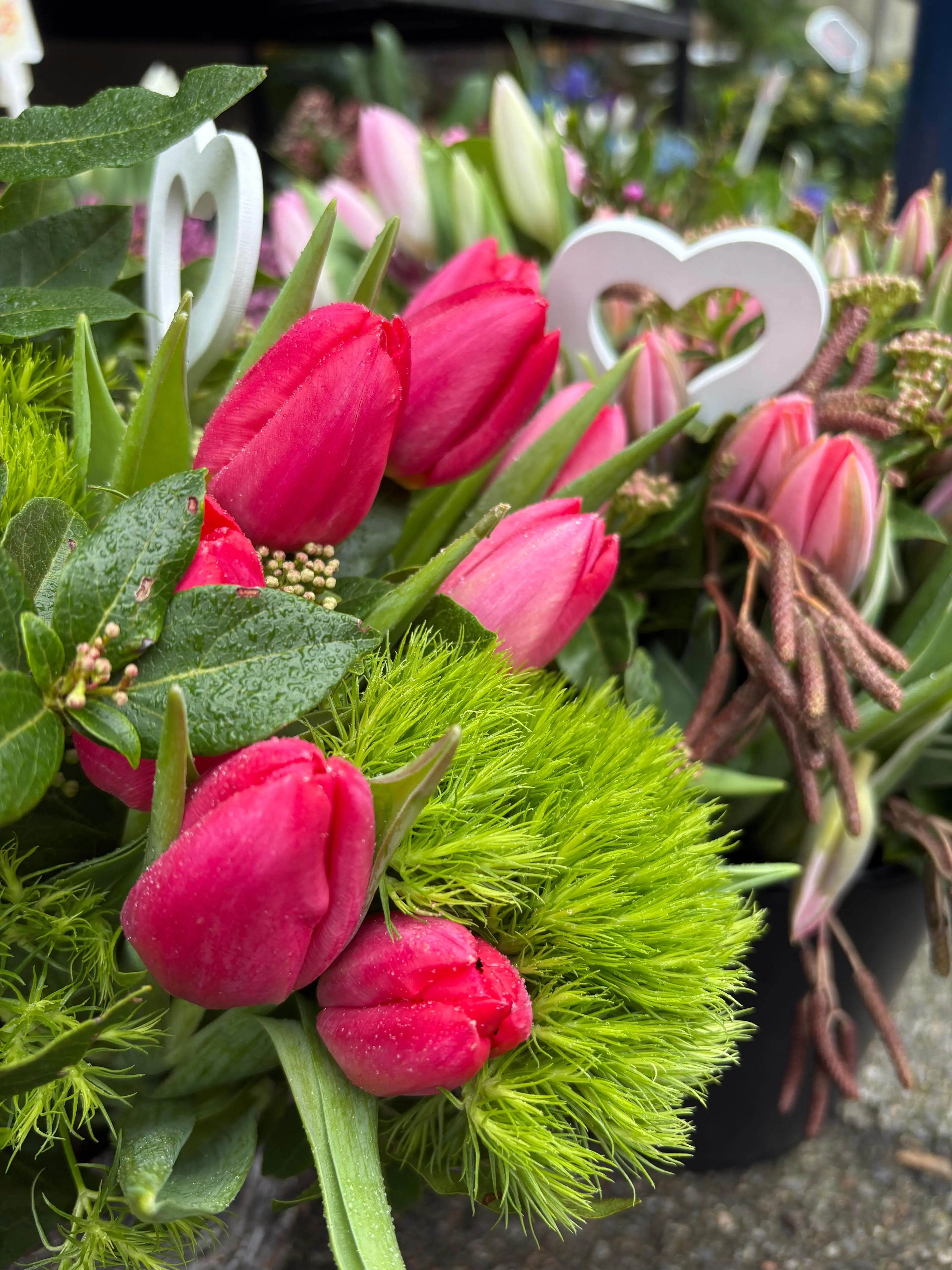 Bouquets Saint-Valentin tulipes fuchsia