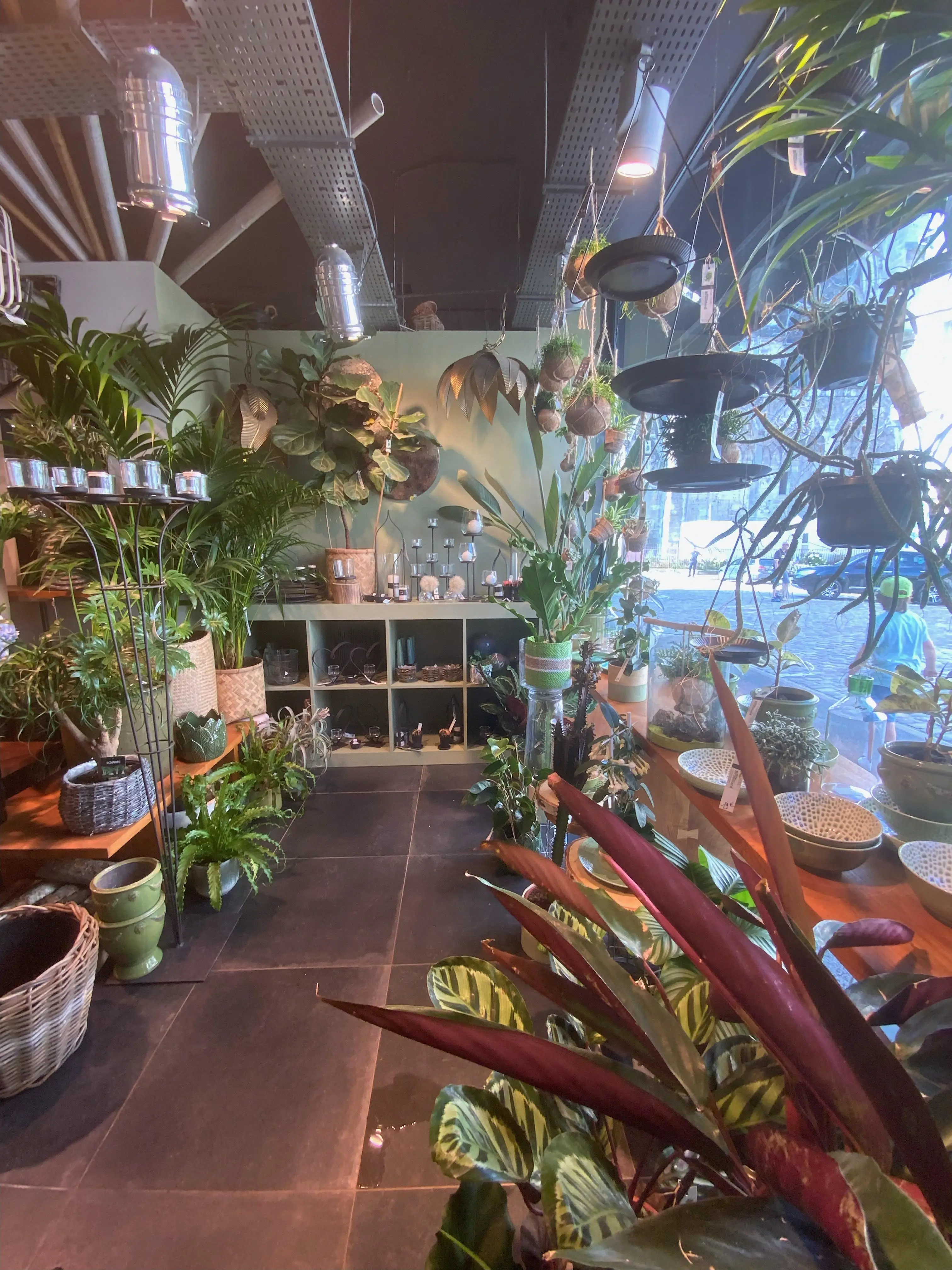 Fleuriste Coucy-le-Château - Olivier Brouillard livraison fleurs