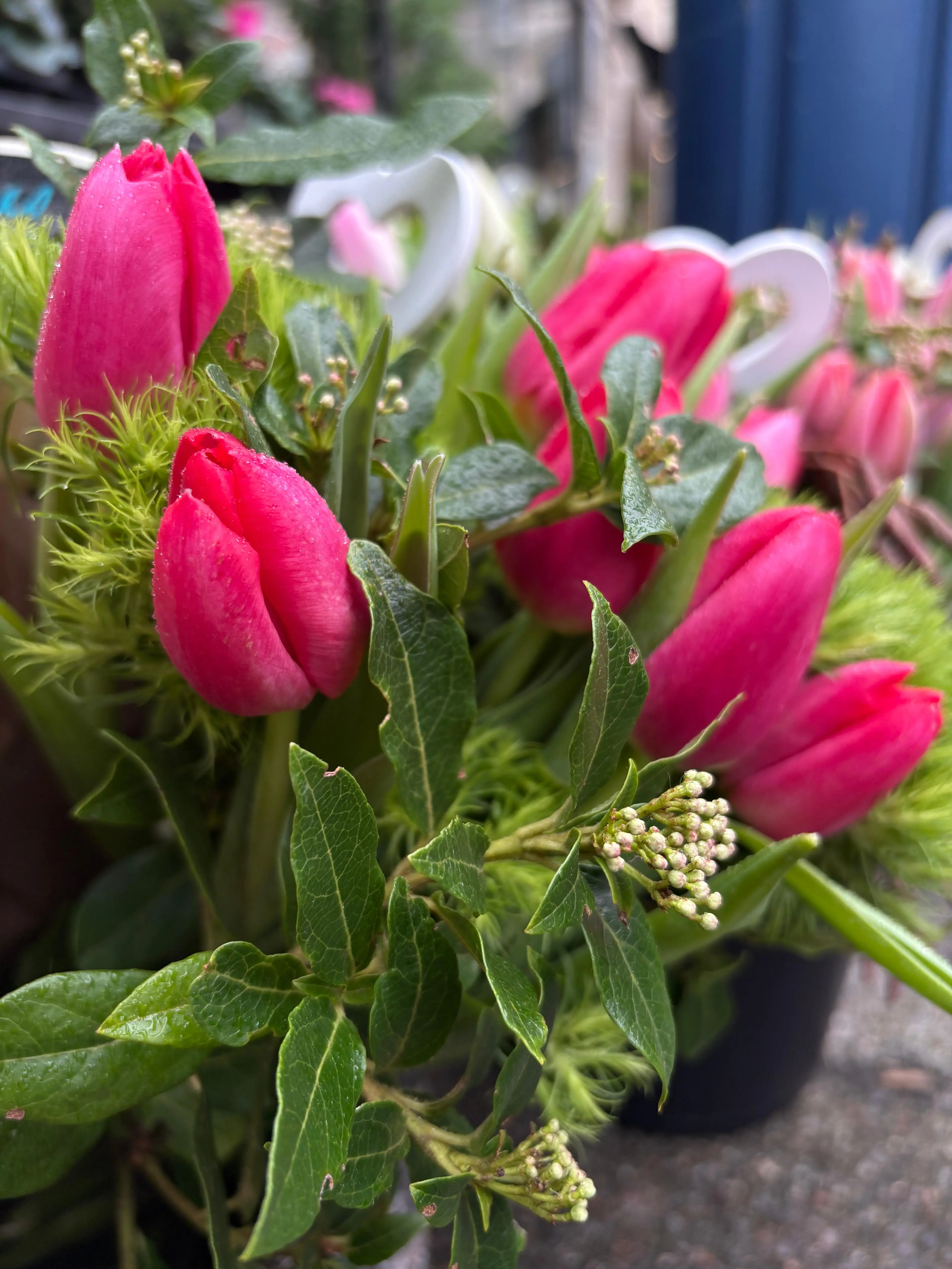 Détail bouquet tulipes fuchsia et dianthus