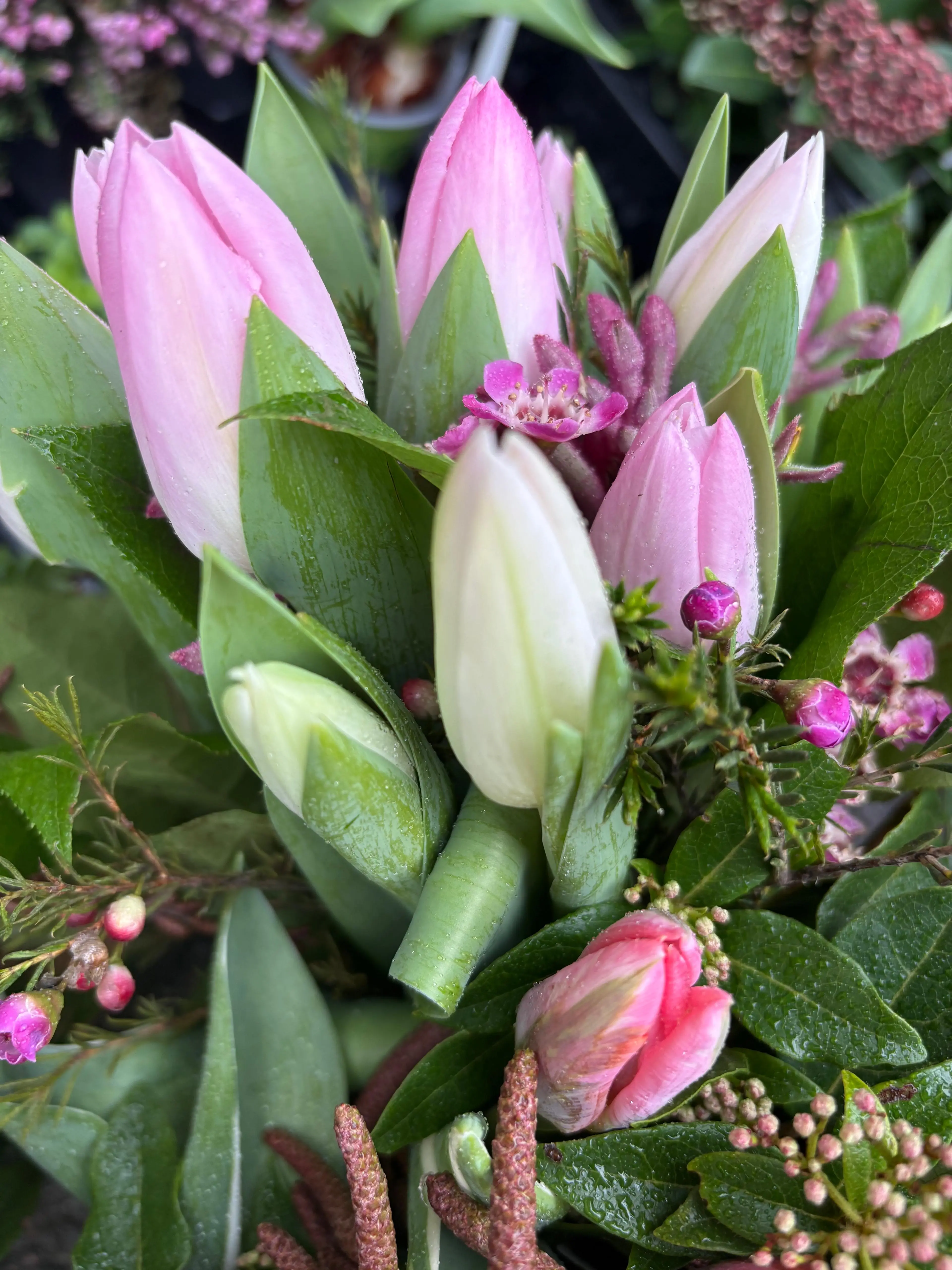 Détail bouquet tulipes roses et waxflower