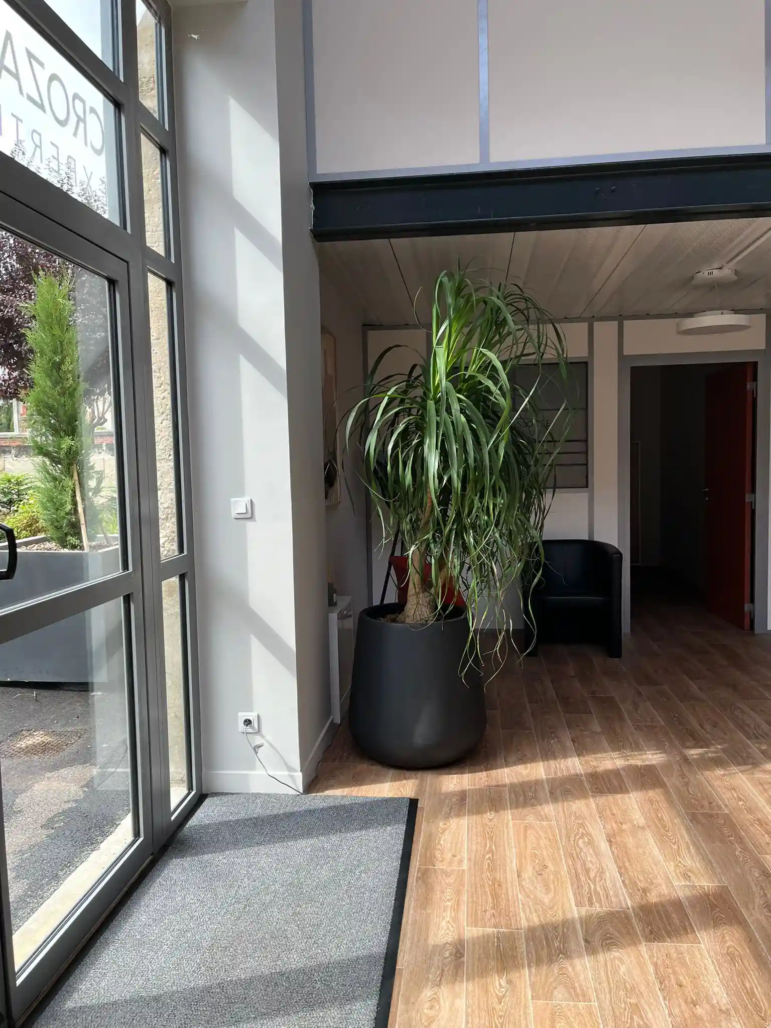 Entrée avec croza et yucca