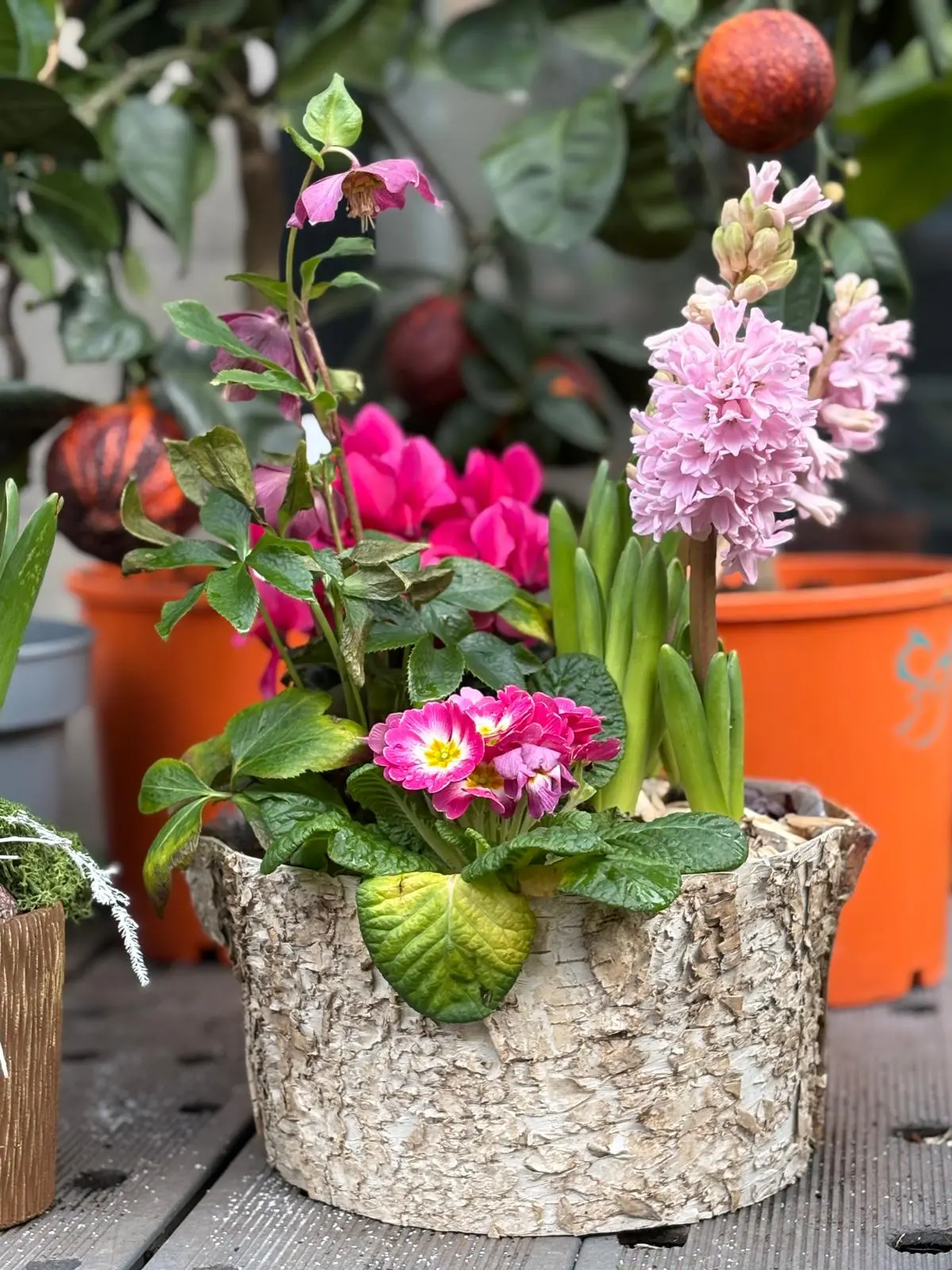 Jardinière printanière - fleuriste Crépy-en-Valois Olivier Brouillard