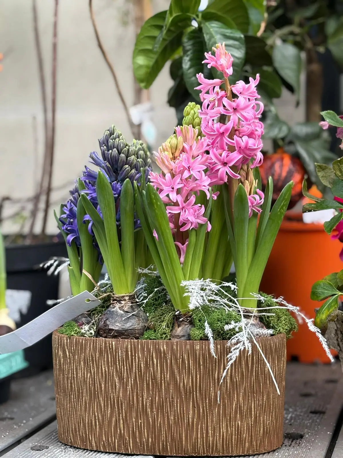 Jardinière florale - fleuriste Fère-en-Tardenois Olivier Brouillard