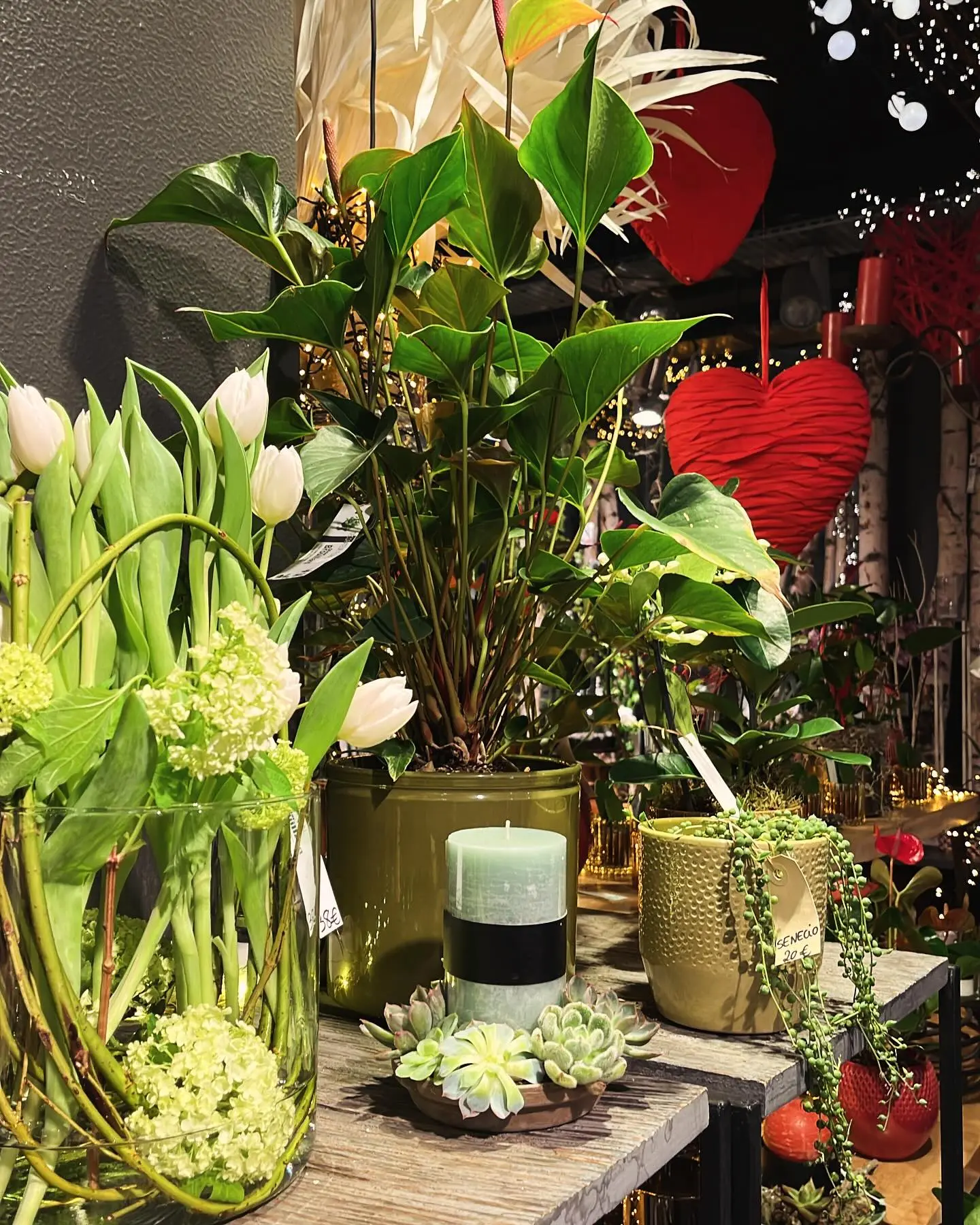 Vitrine Saint-Valentin anthurium tulipes et succulentes